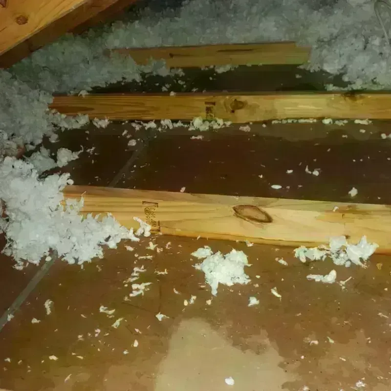 Attic Water Damage in Chittenden, VT